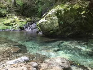 美杉の川